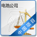 电池公司 